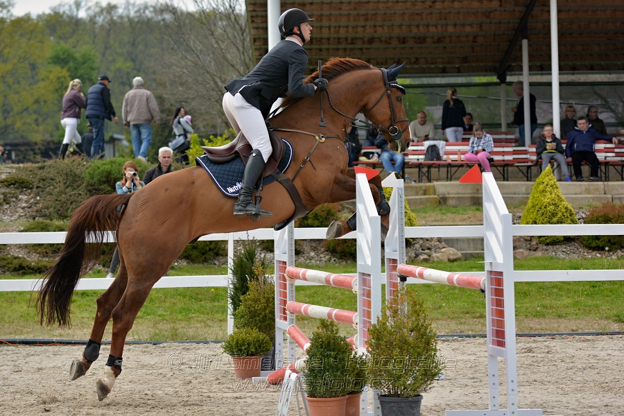 Skoková soutěž stupně „ZL“ na čas