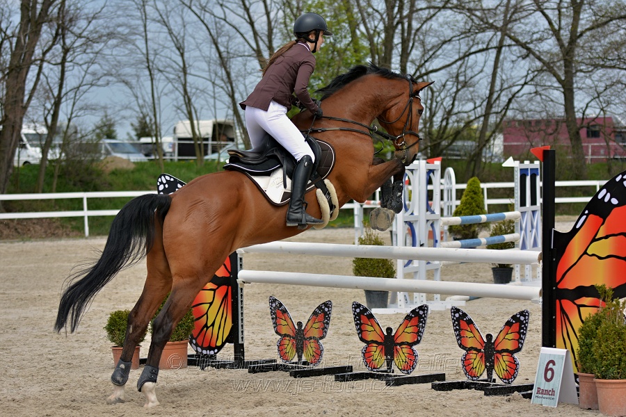 Skoková soutěž stupně „ZL“ na čas