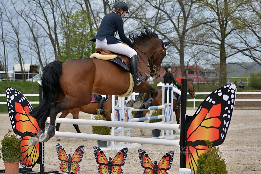 Skoková soutěž stupně „ZL“ na čas