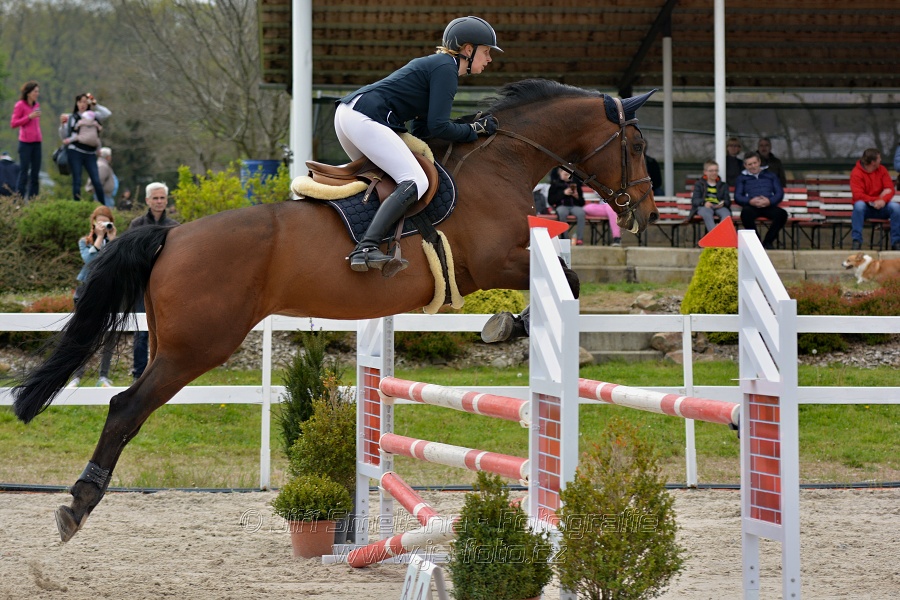 Skoková soutěž stupně „ZL“ na čas