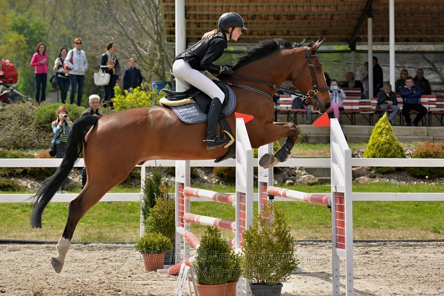 Skoková soutěž stupně „ZL“ na čas