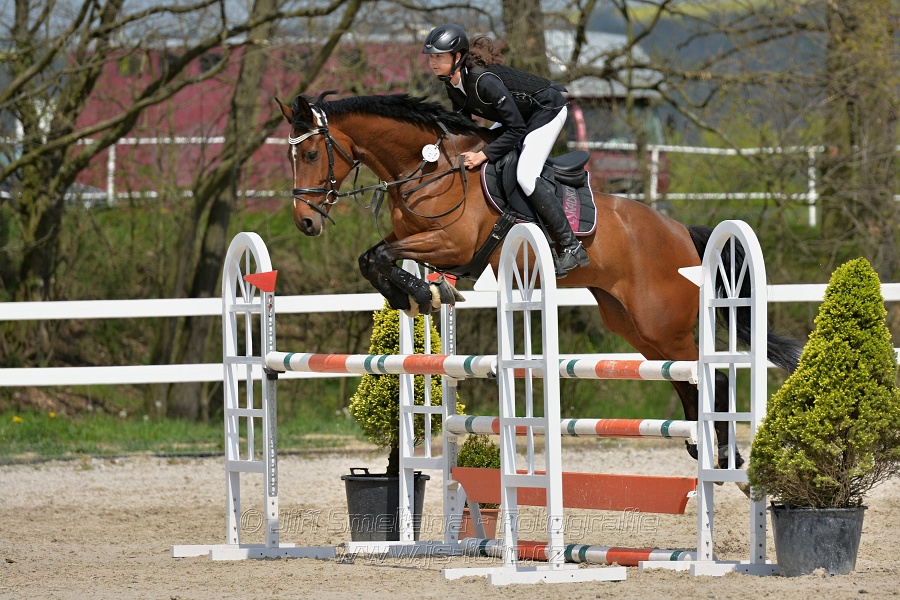 Skoková soutěž stupně „ZL“ na čas