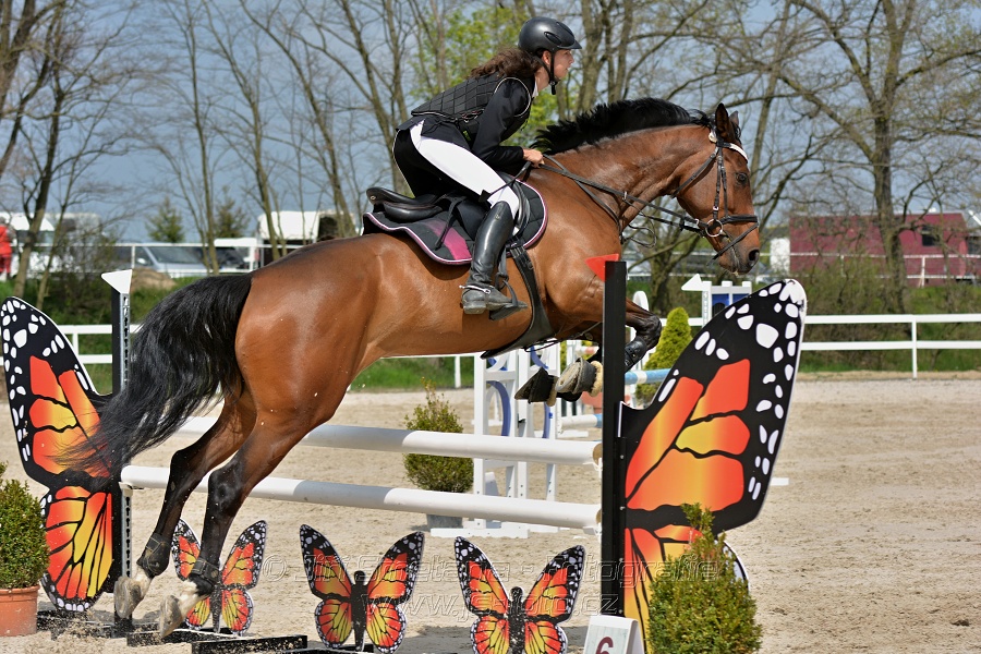 Skoková soutěž stupně „ZL“ na čas