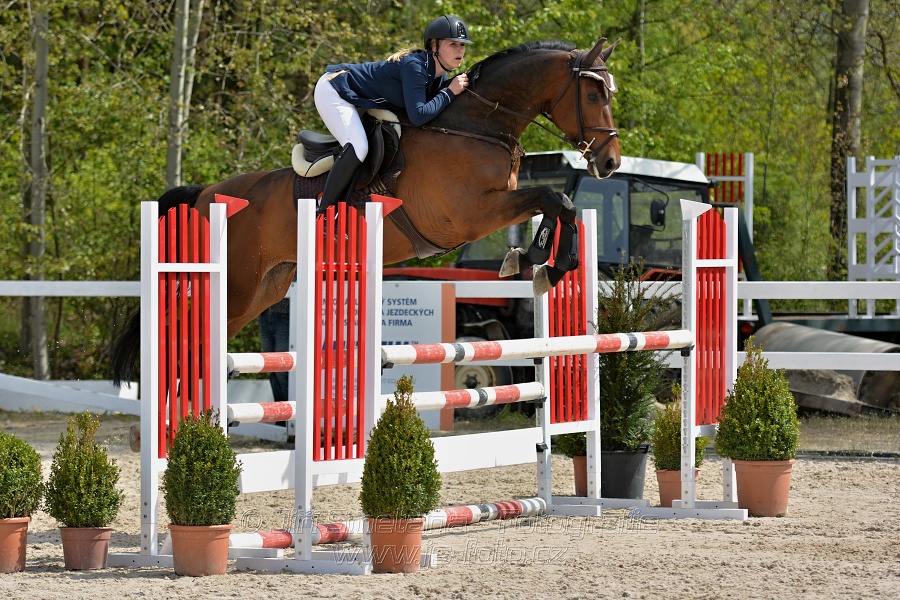 Skoková soutěž stupně „ZL“ na čas