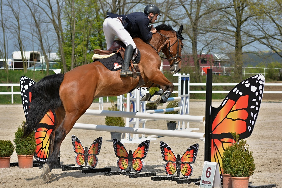 Skoková soutěž stupně „ZL“ na čas