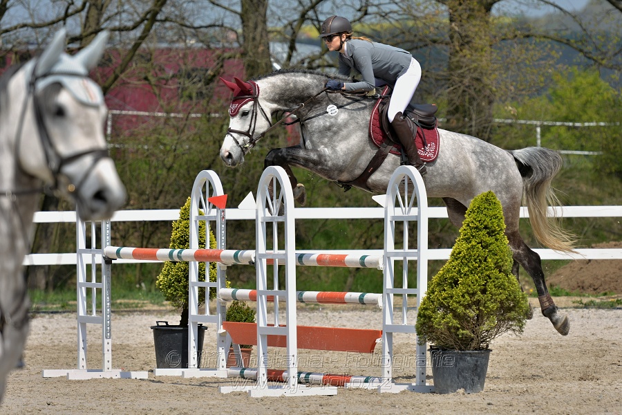 Skoková soutěž stupně „ZL“ na čas