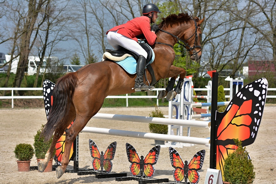 Skoková soutěž stupně „ZL“ na čas