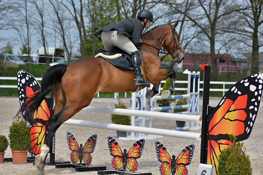 Skoková soutěž stupně „ZL“ na čas