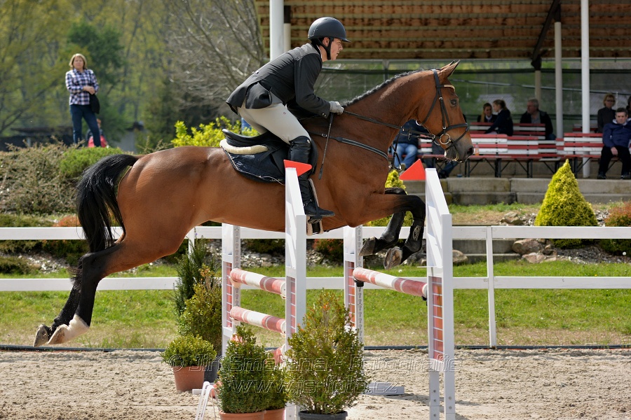 Skoková soutěž stupně „ZL“ na čas