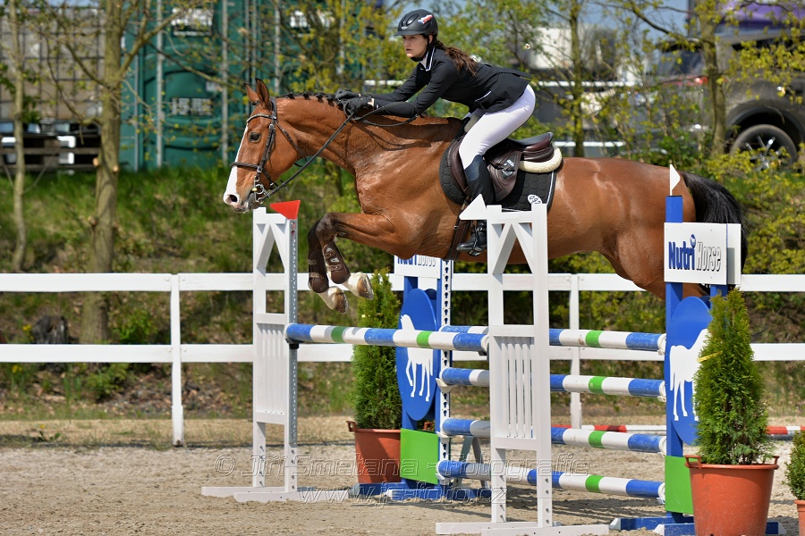 Skoková soutěž stupně „ZL“ na čas