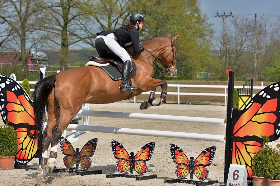 Skoková soutěž stupně „ZL“ na čas