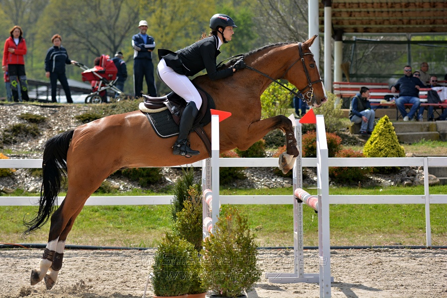 Skoková soutěž stupně „ZL“ na čas