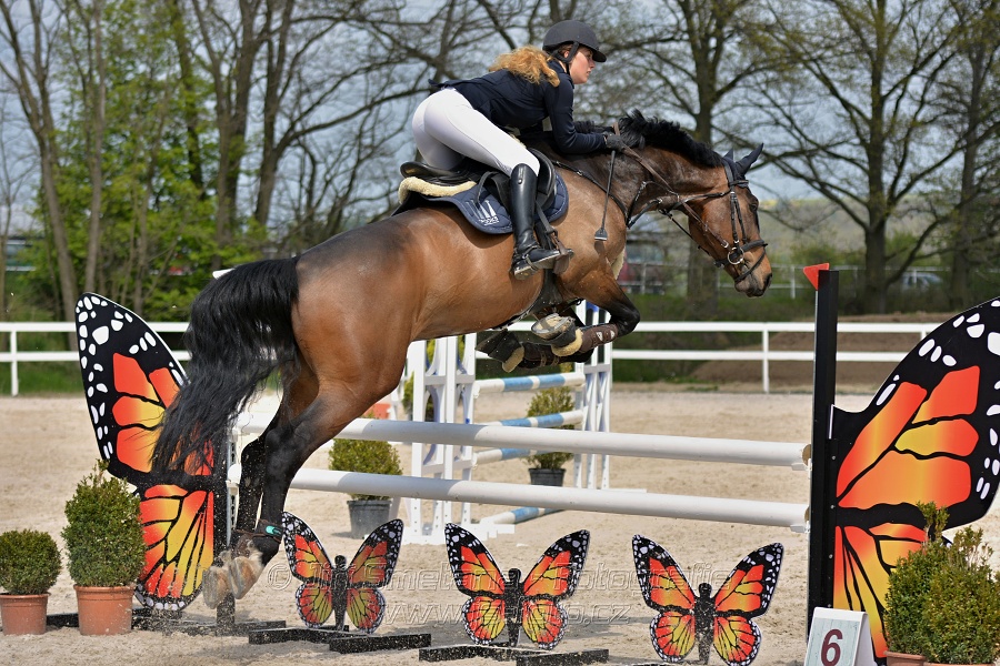 Skoková soutěž stupně „ZL“ na čas