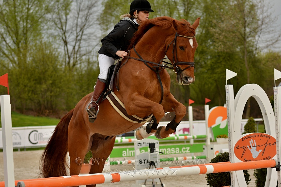 Skoková soutěž na limitovaný čas do „90cm“