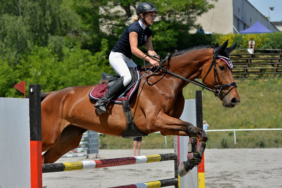 Skoková soutěž st. „ZL“