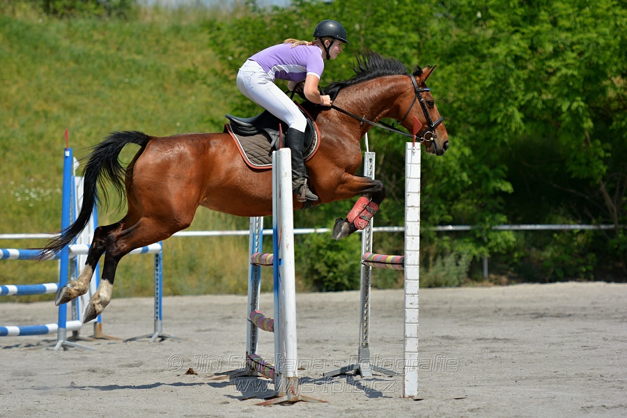 Skoková soutěž st. „ZL“