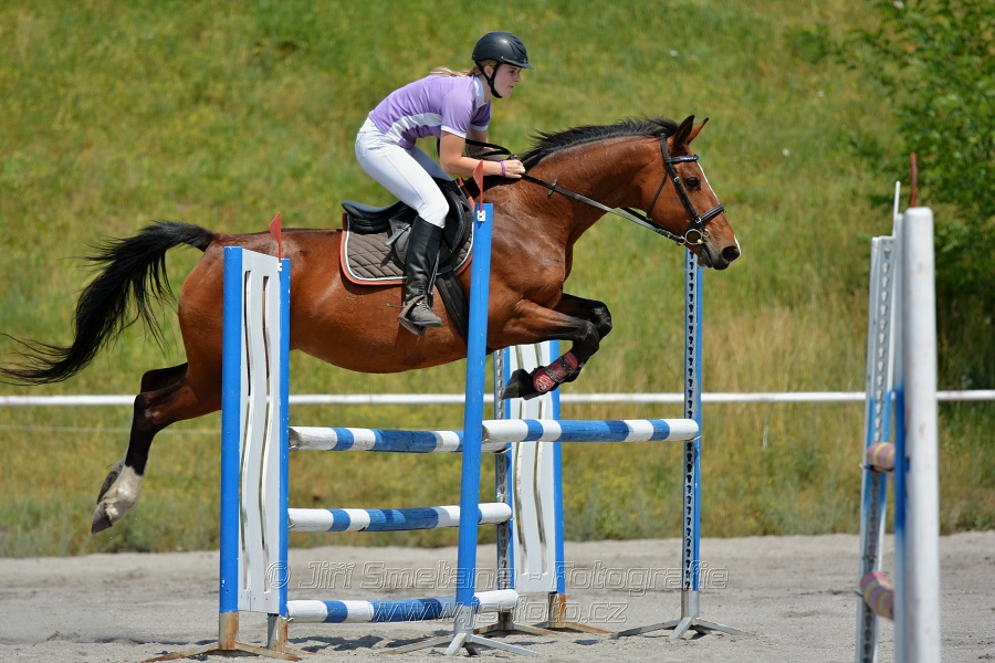 Skoková soutěž st. „ZL“