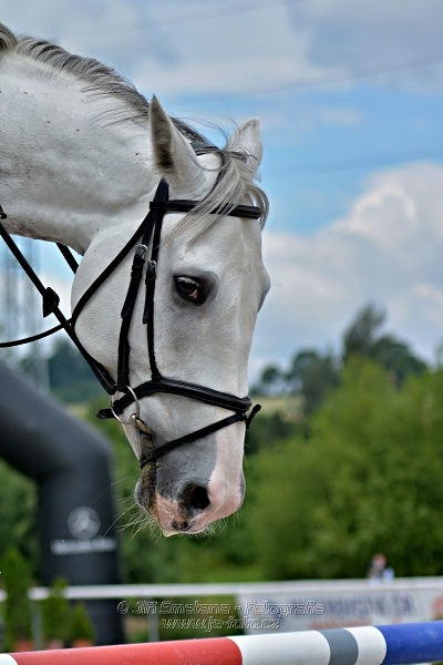 Skoková soutěž st. 