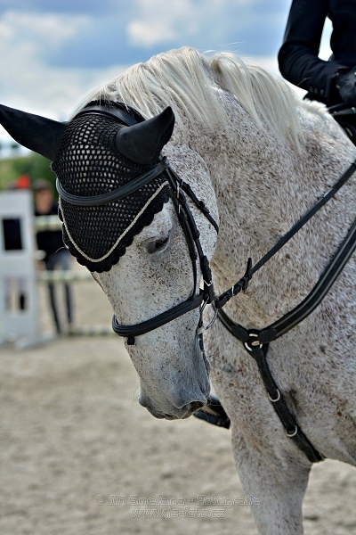 Skoková soutěž st. 