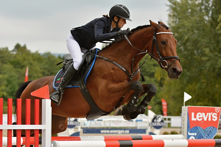 Finále seriálu U25 2017