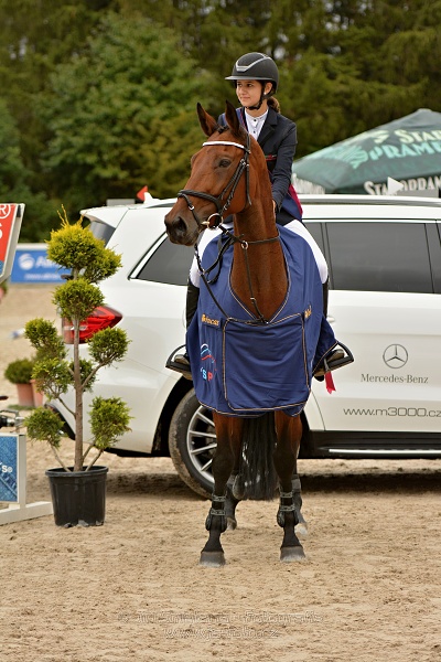 Finále seriálu U25 2017