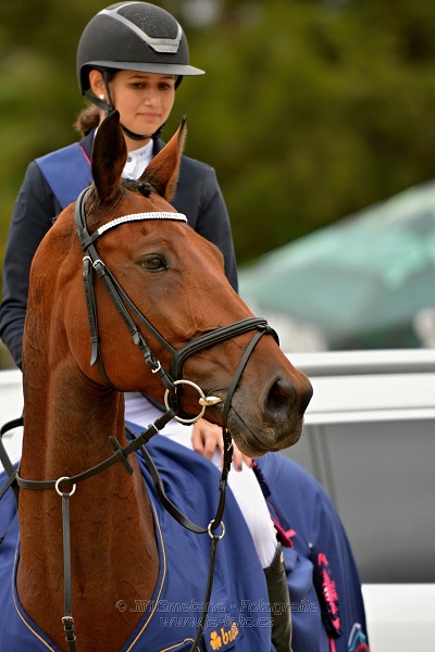 Finále seriálu U25 2017