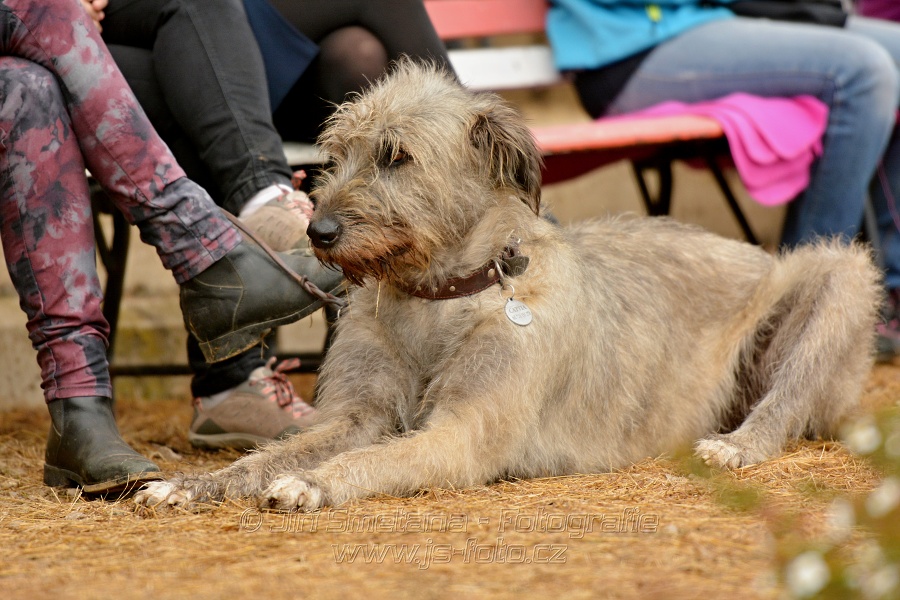 Finále seriálu Czech Junior Cup 2017 - Junioři 16-18 let