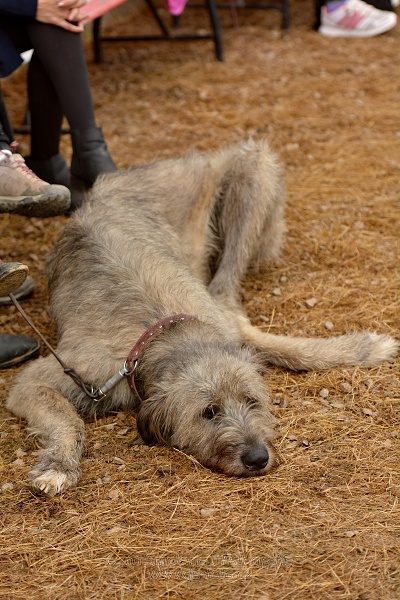 Finále seriálu Czech Junior Cup 2017 - Junioři 16-18 let