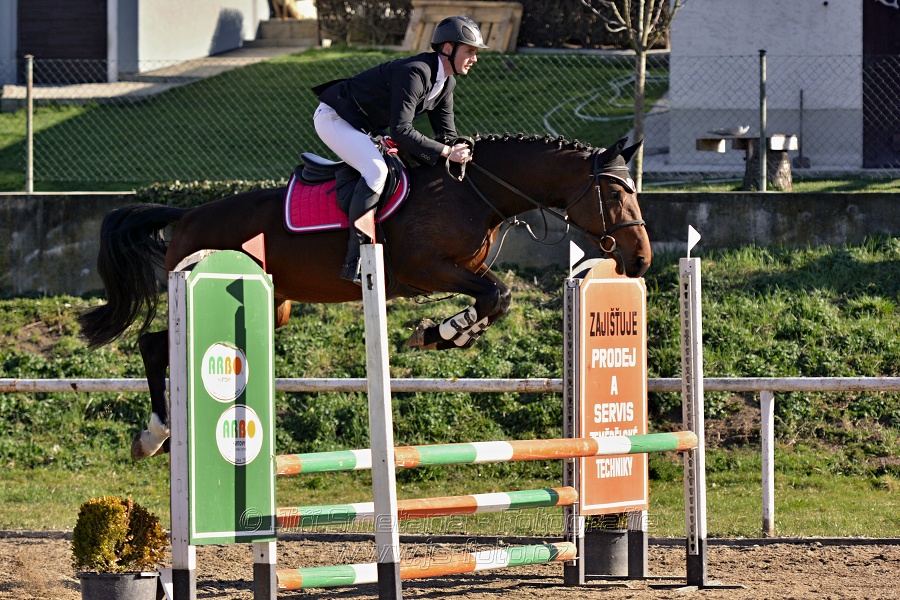 Skoková soutěž „Stupňovaná obtížnost do 100 cm“