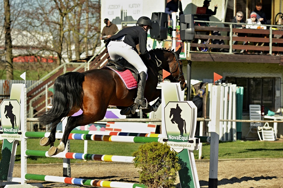 Skoková soutěž „Stupňovaná obtížnost do 100 cm“