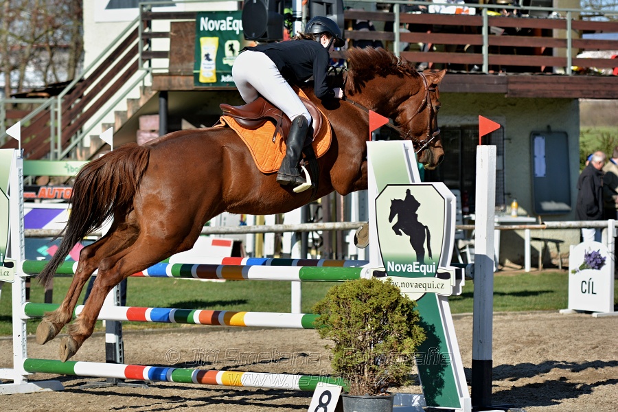 Skoková soutěž „Stupňovaná obtížnost do 100 cm“