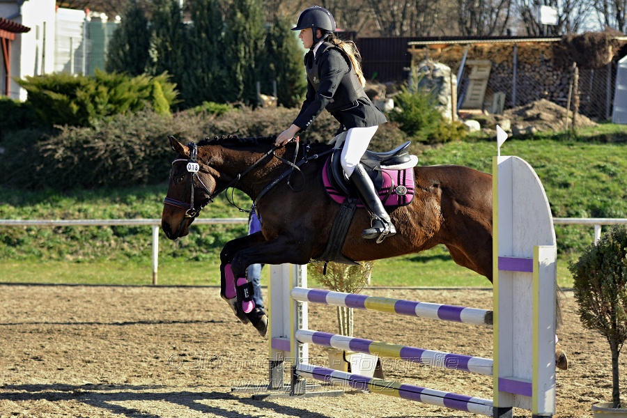 Skoková soutěž „Stupňovaná obtížnost do 100 cm“