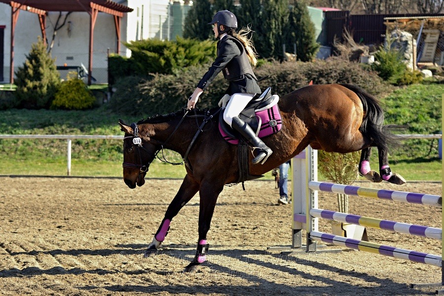Skoková soutěž „Stupňovaná obtížnost do 100 cm“