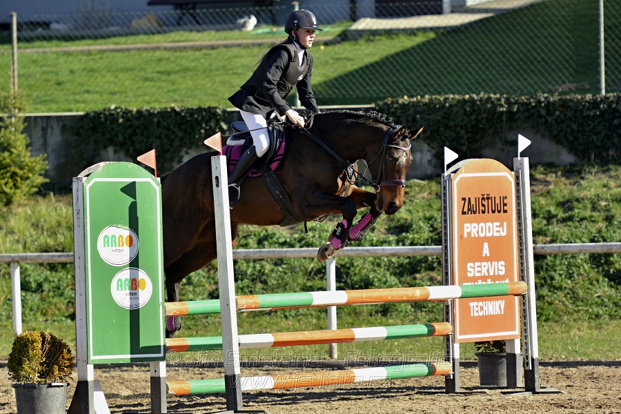 Skoková soutěž „Stupňovaná obtížnost do 100 cm“