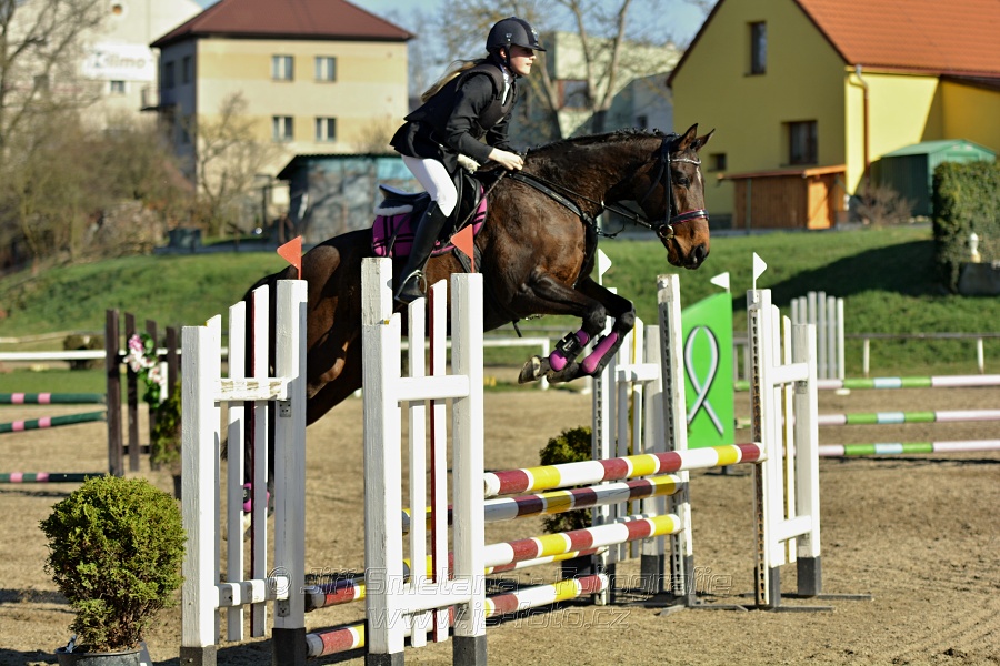 Skoková soutěž „Stupňovaná obtížnost do 100 cm“