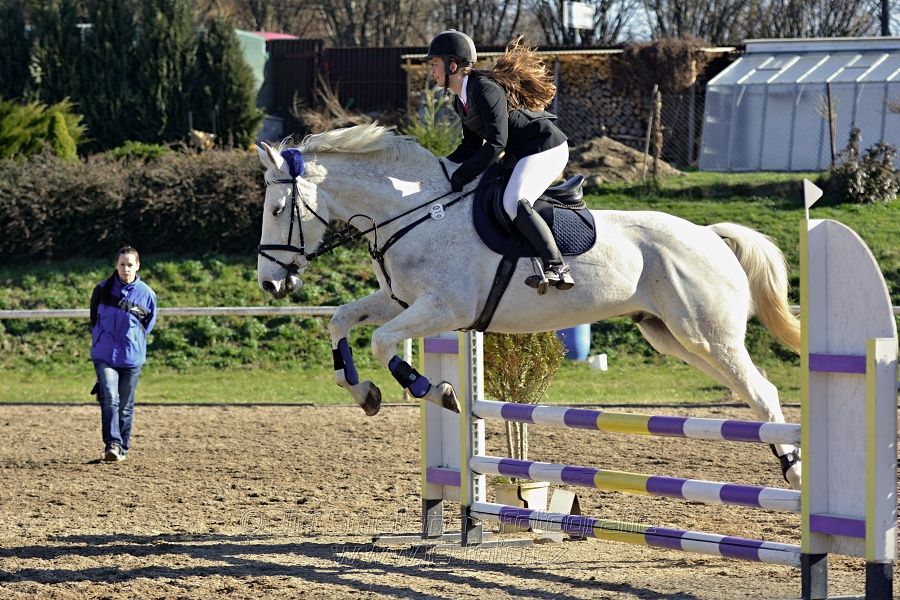 Skoková soutěž „Stupňovaná obtížnost do 100 cm“