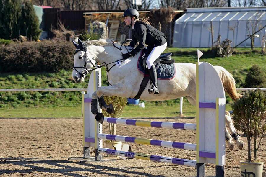 Skoková soutěž „Stupňovaná obtížnost do 100 cm“