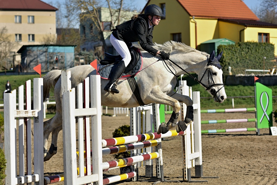 Skoková soutěž „Stupňovaná obtížnost do 100 cm“
