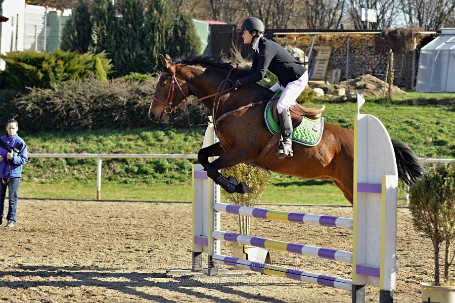 Skoková soutěž „Stupňovaná obtížnost do 100 cm“