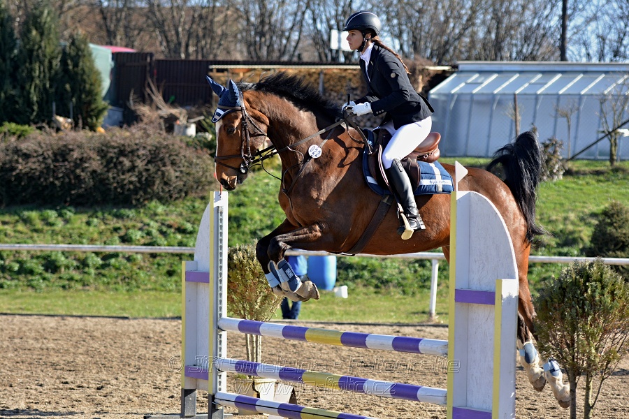 Skoková soutěž „Stupňovaná obtížnost do 100 cm“