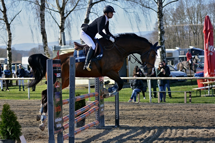 Skoková soutěž „Stupňovaná obtížnost do 100 cm“