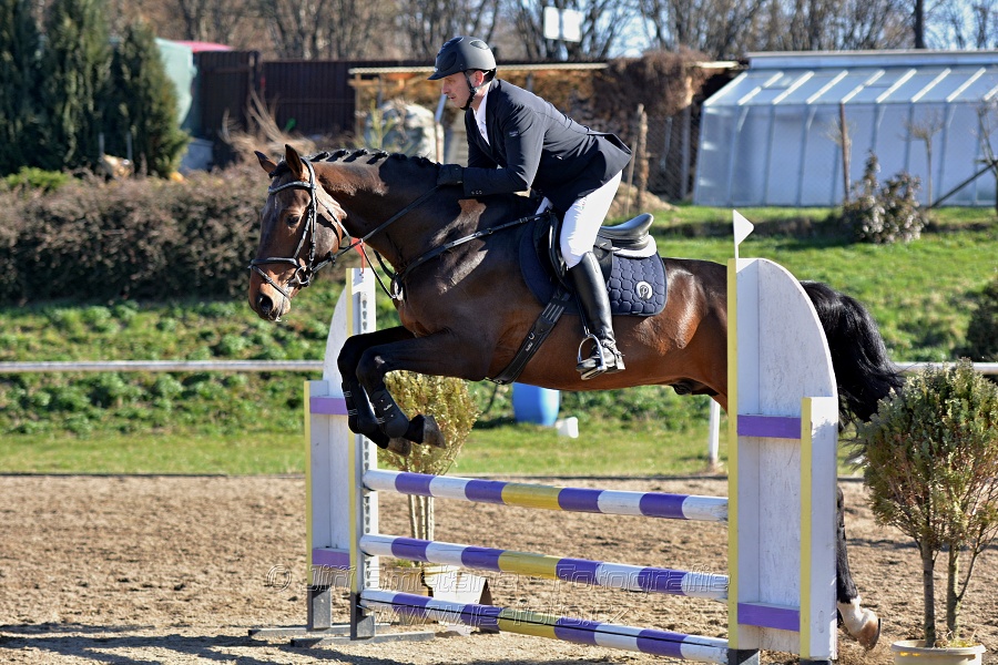 Skoková soutěž „Stupňovaná obtížnost do 100 cm“