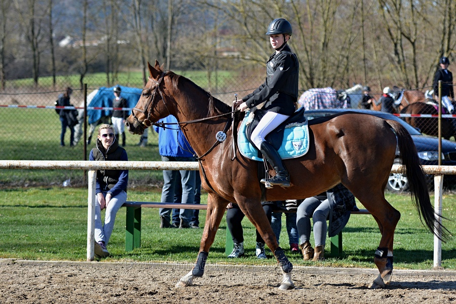 Skoková soutěž „Stupňovaná obtížnost do 100 cm“
