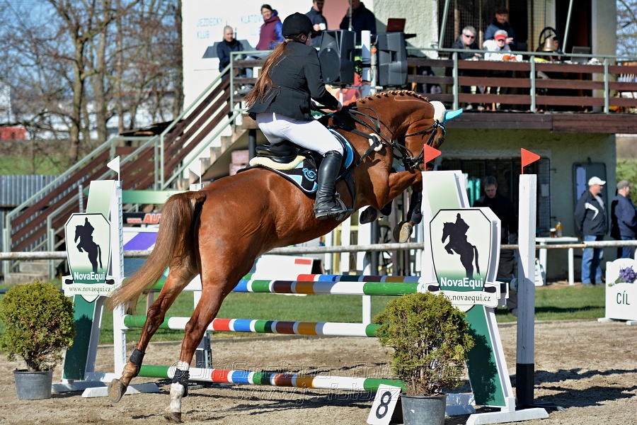 Skoková soutěž „Stupňovaná obtížnost do 100 cm“