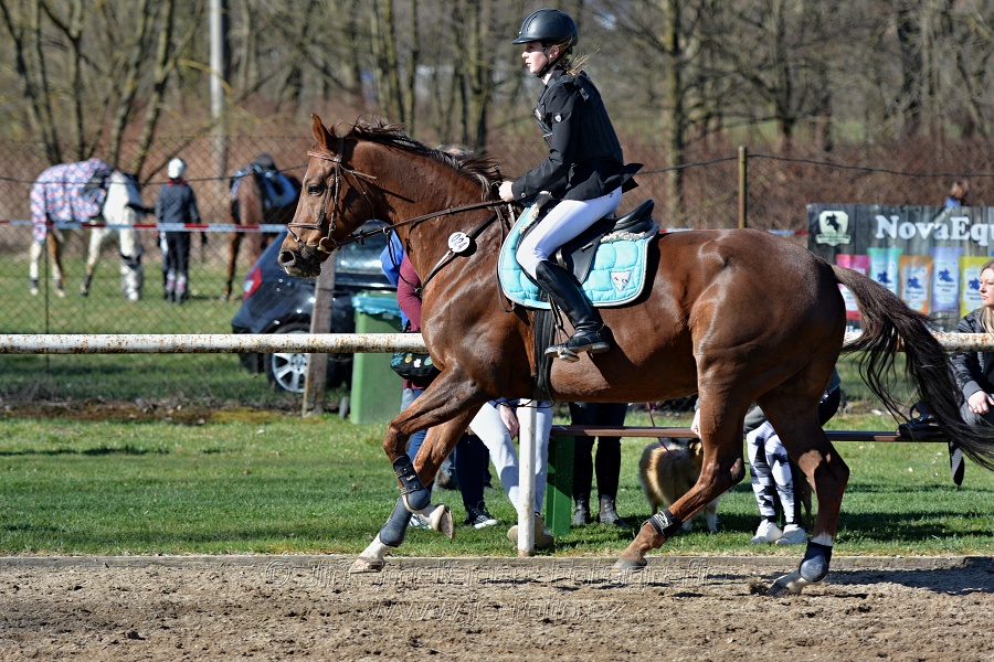 Skoková soutěž „Stupňovaná obtížnost do 100 cm“