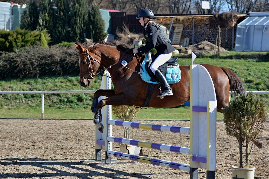 Skoková soutěž „Stupňovaná obtížnost do 100 cm“