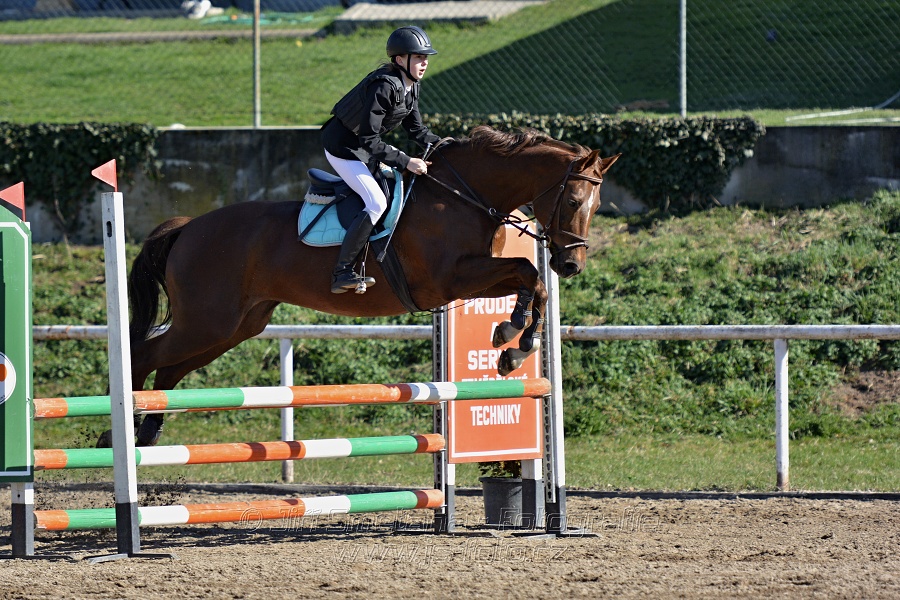 Skoková soutěž „Stupňovaná obtížnost do 100 cm“