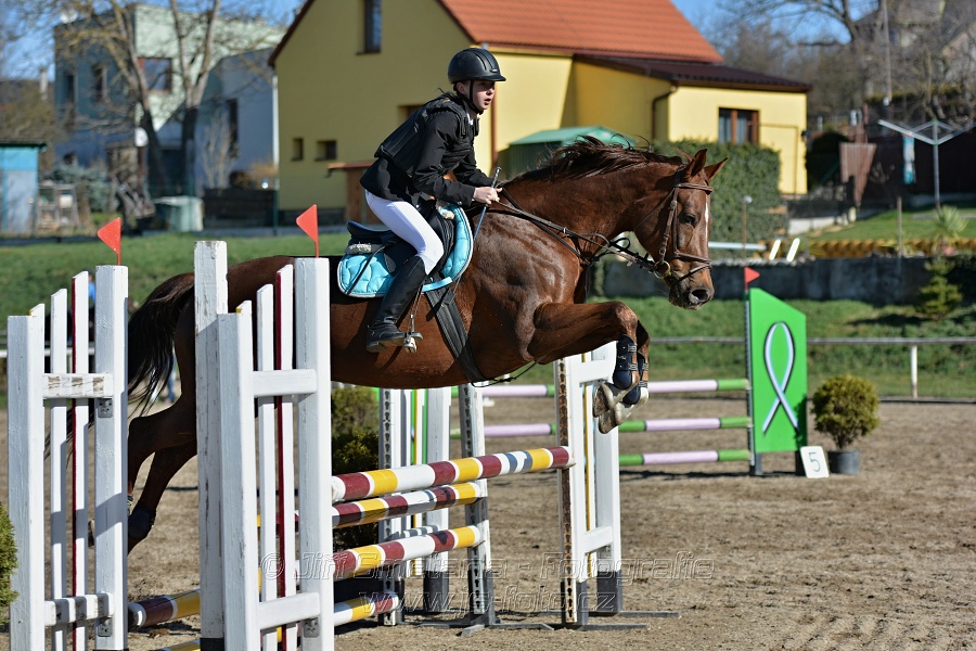 Skoková soutěž „Stupňovaná obtížnost do 100 cm“