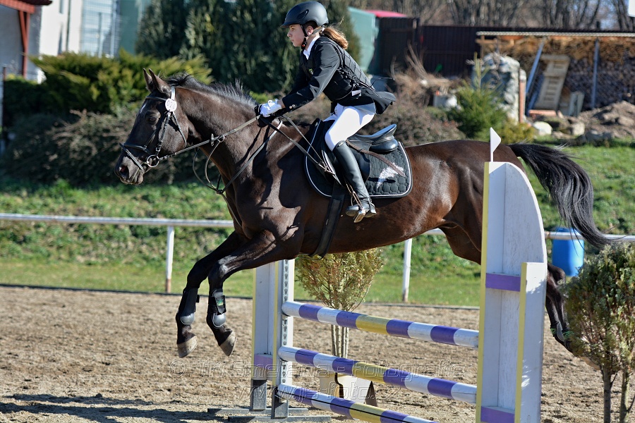 Skoková soutěž „Stupňovaná obtížnost do 100 cm“