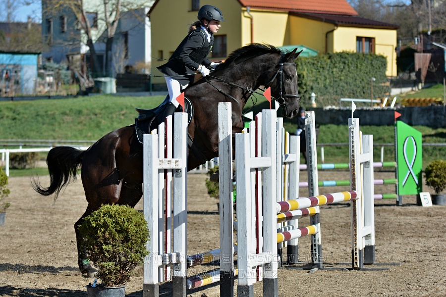 Skoková soutěž „Stupňovaná obtížnost do 100 cm“
